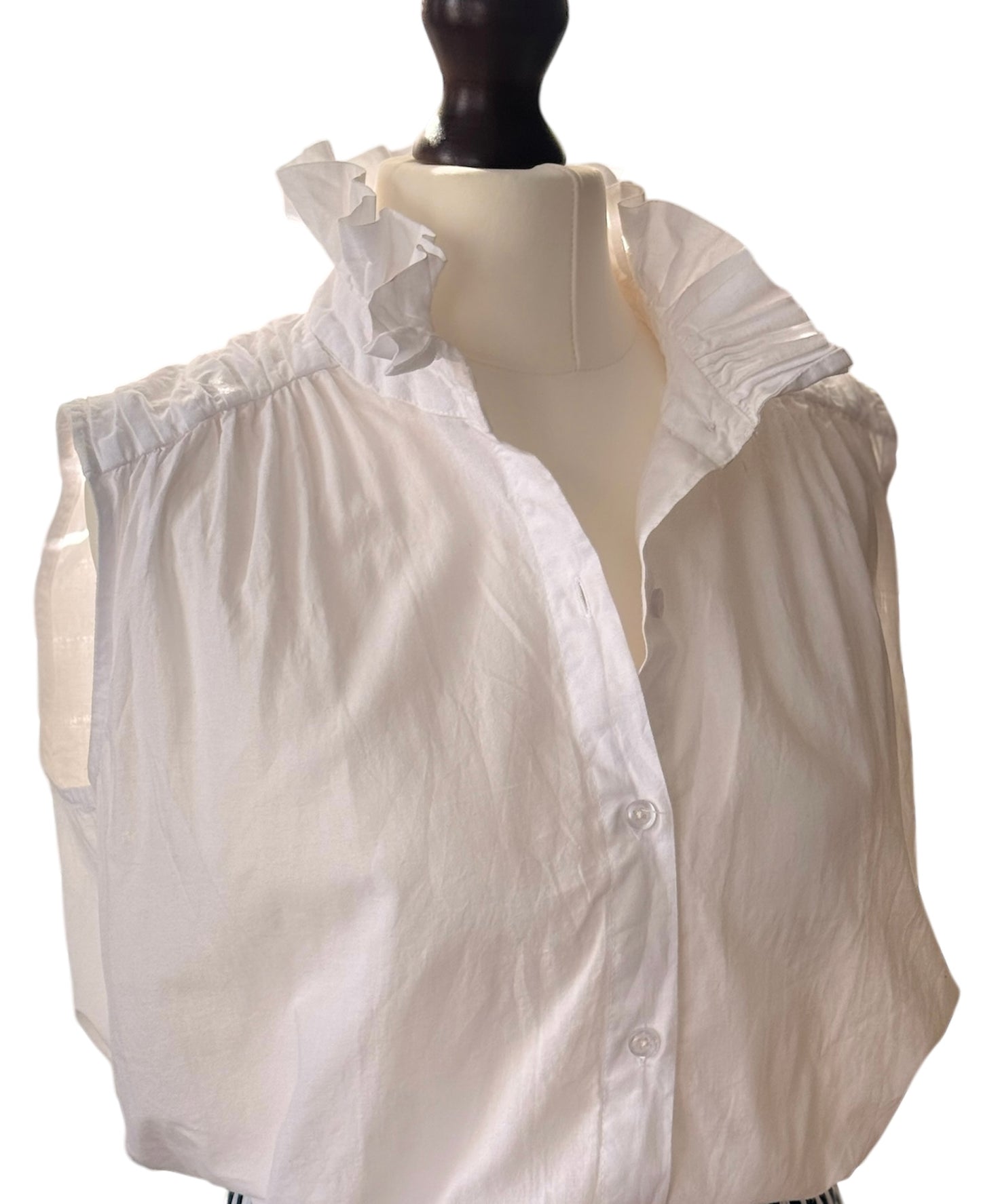 Ruffle Collar Shirt